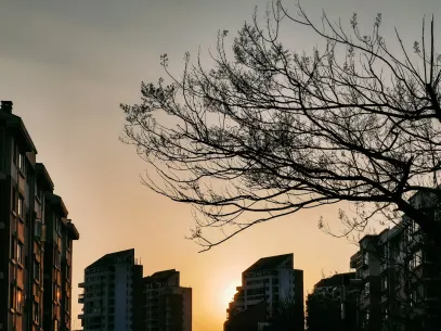 メガリール カジノ モバイルアプリ